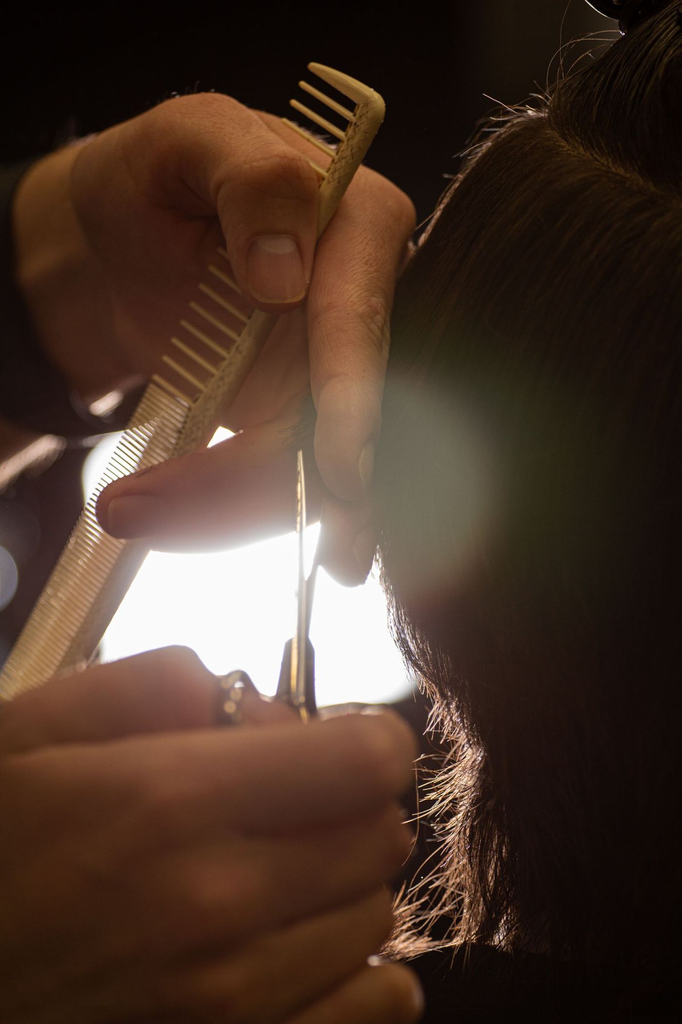 Coiffeur coupant des cheveux au peigne et aux ciseaux, en contre-jour